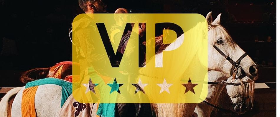 Dinner-Show 'Medieval Challenge' (VIP Pass) Magic Villa Benidorm Hotel Benidorm Dinner-Show 'Medieval Challenge' (VIP Pass) Magic Villa Benidorm Hotel Benidorm
