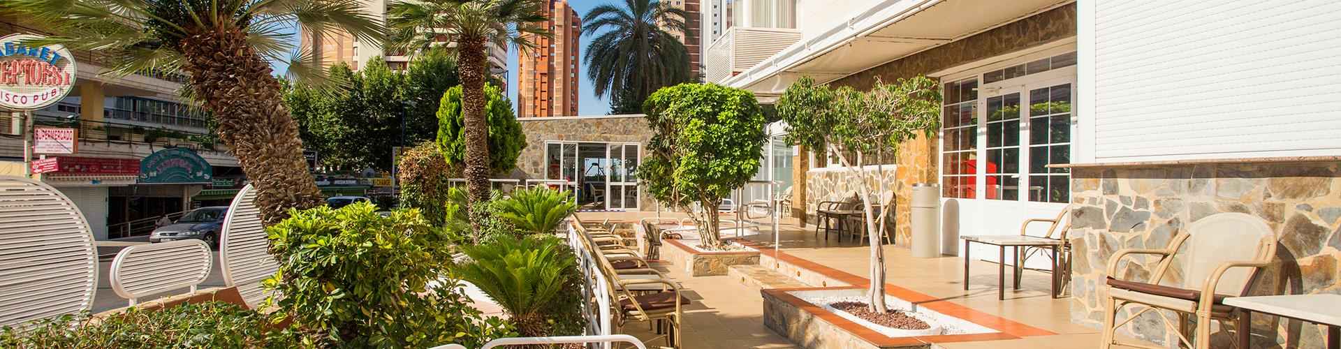 Magic Villa Benidorm - Benidorm - Magic Villa Benidorm - Benidorm -